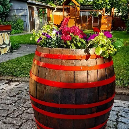 Old House *
