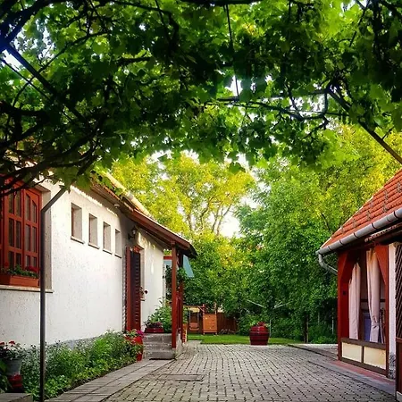 Prázdninový dům Old House *